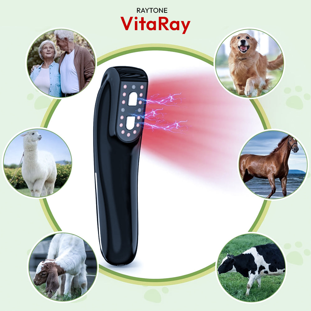 RAYTONE VitaRay – Cold Laser Therapy for Pets & Horses