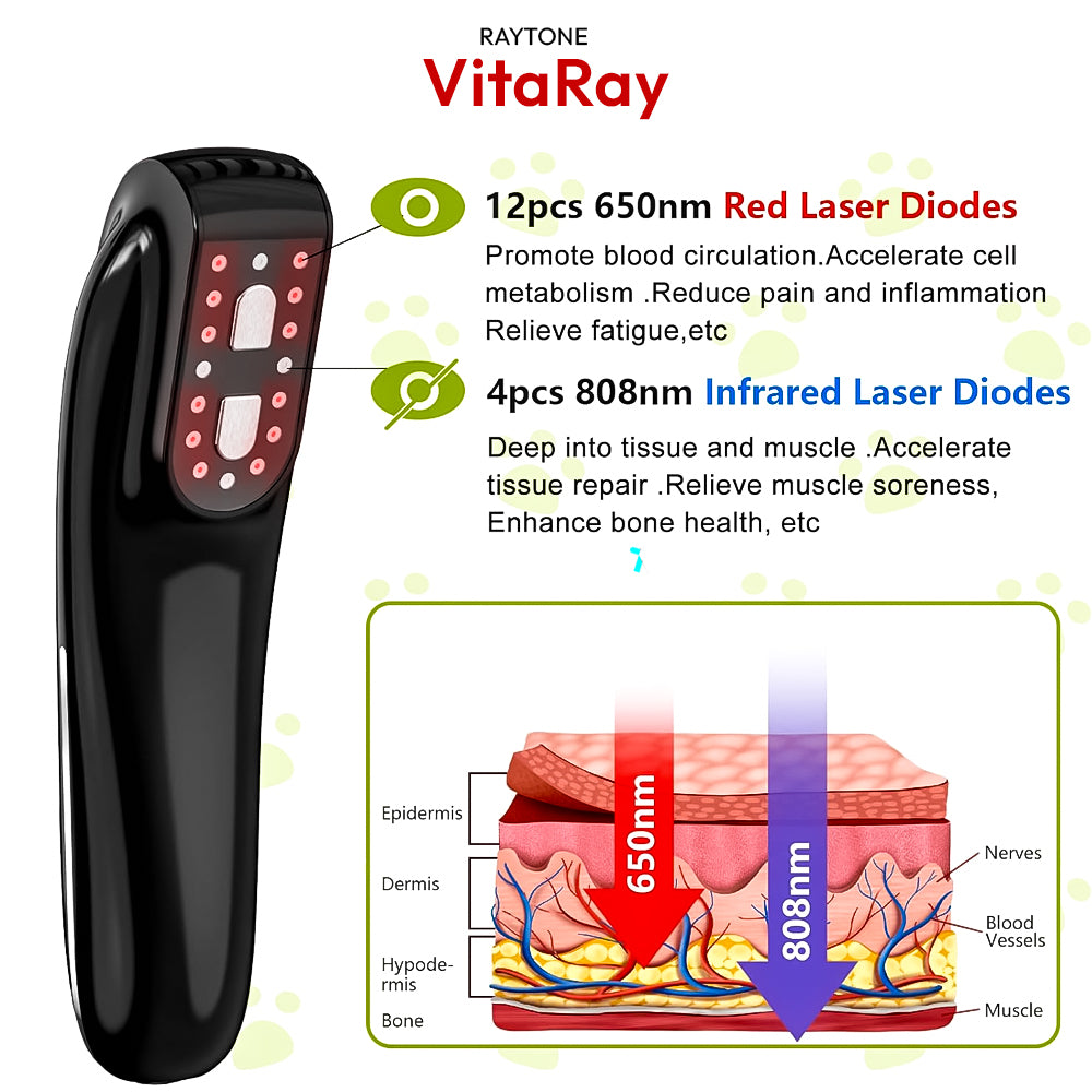 RAYTONE VitaRay – Cold Laser Therapy for Pets & Horses