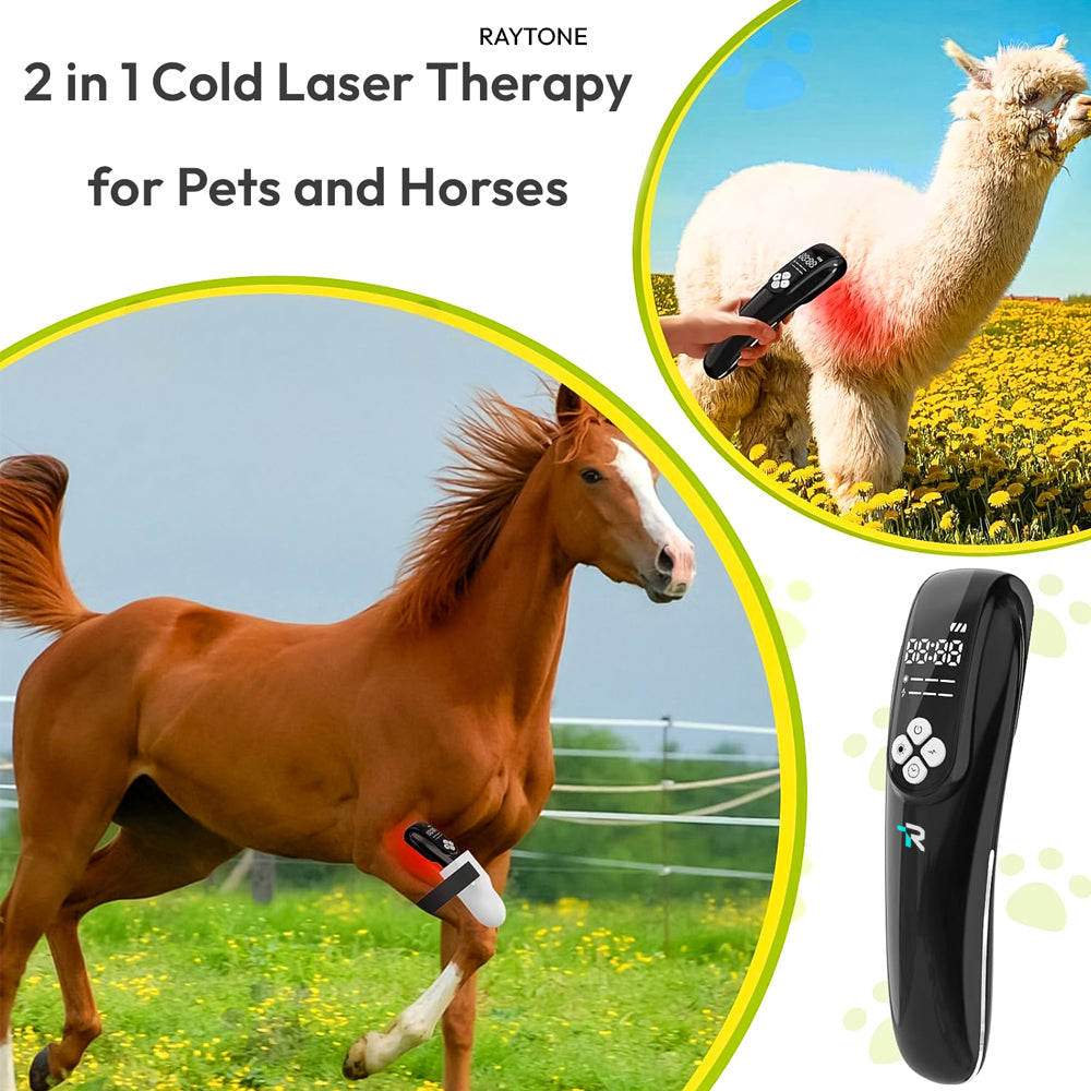 RAYTONE VitaRay – Cold Laser Therapy for Pets & Horses