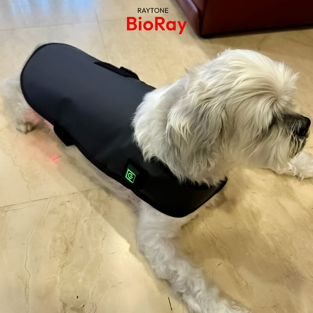BioRay – Ultimate Cold Laser Therapy for Pets