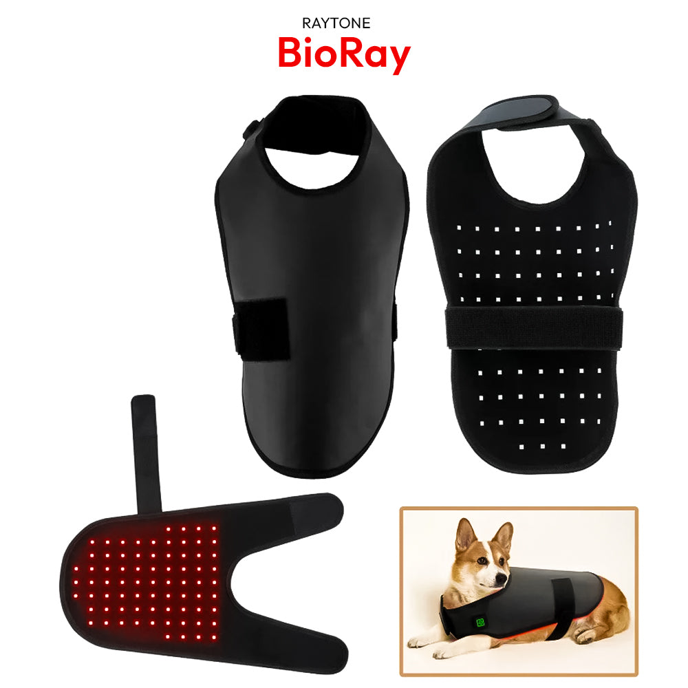 BioRay – Ultimate Cold Laser Therapy for Pets