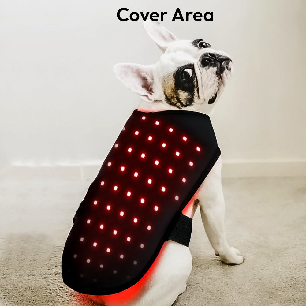 BioRay – Ultimate Cold Laser Therapy for Pets