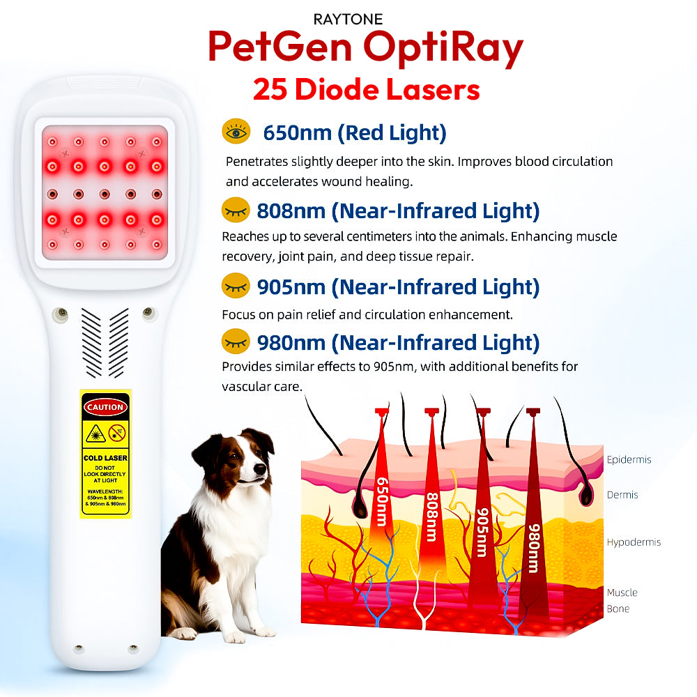 RAYTONE PetGen OptiRay – Intensive Cold Laser Therapy Device for Pets & People