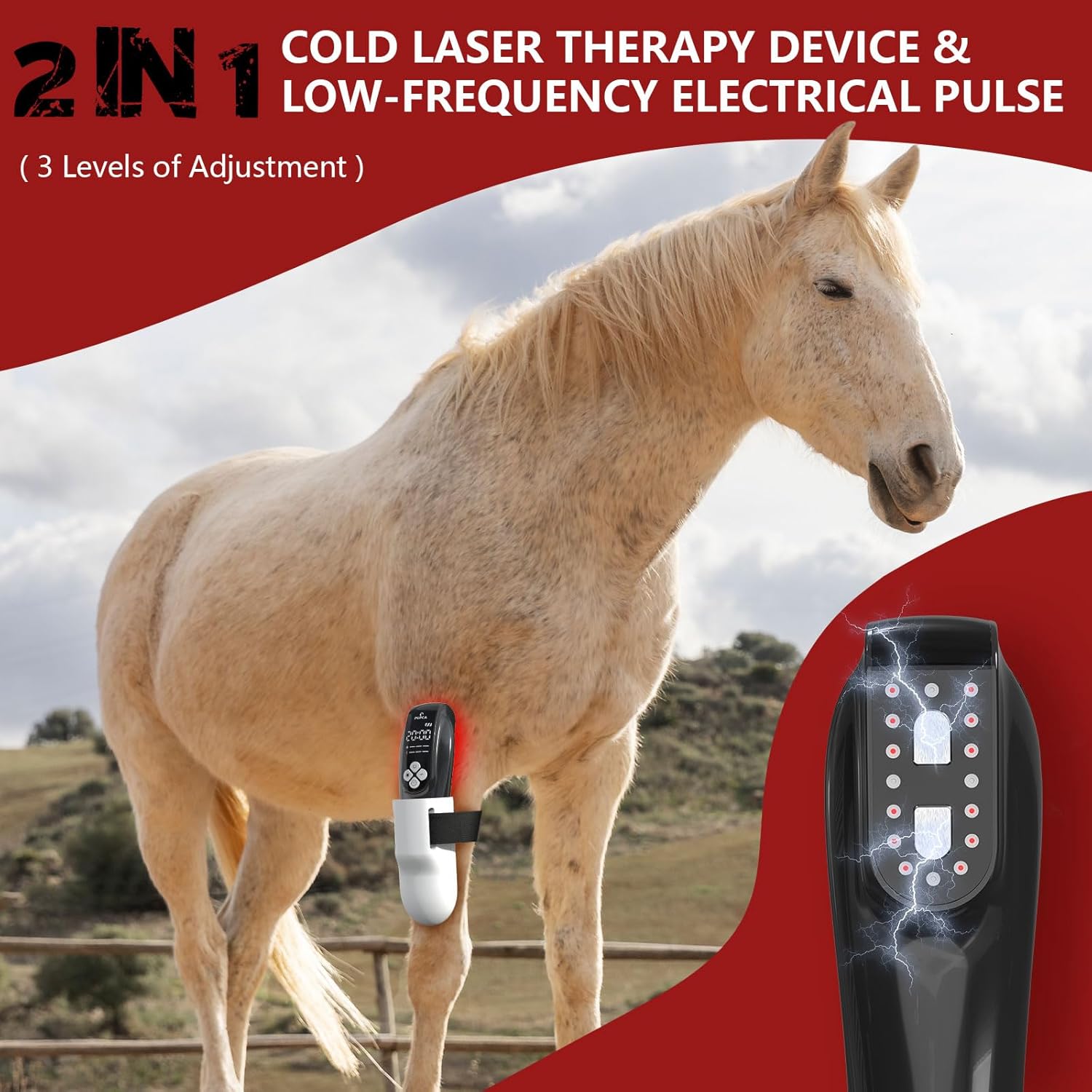 VitaRay – Extra Strength Cold Laser Therapy for Pets & Horses