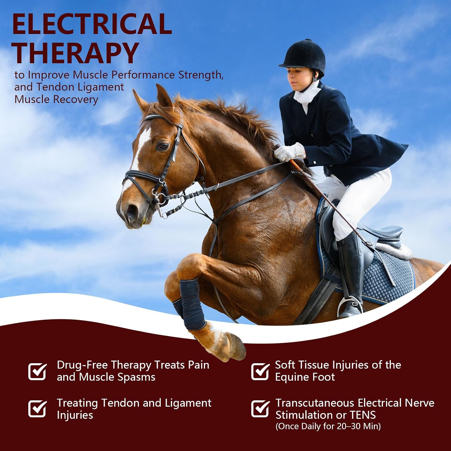 VitaRay – Extra Strength Cold Laser Therapy for Pets & Horses