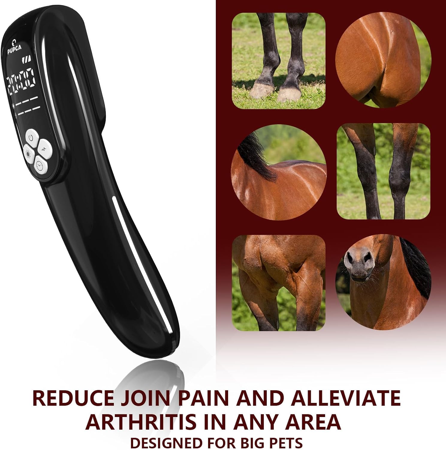 VitaRay – Extra Strength Cold Laser Therapy for Pets & Horses