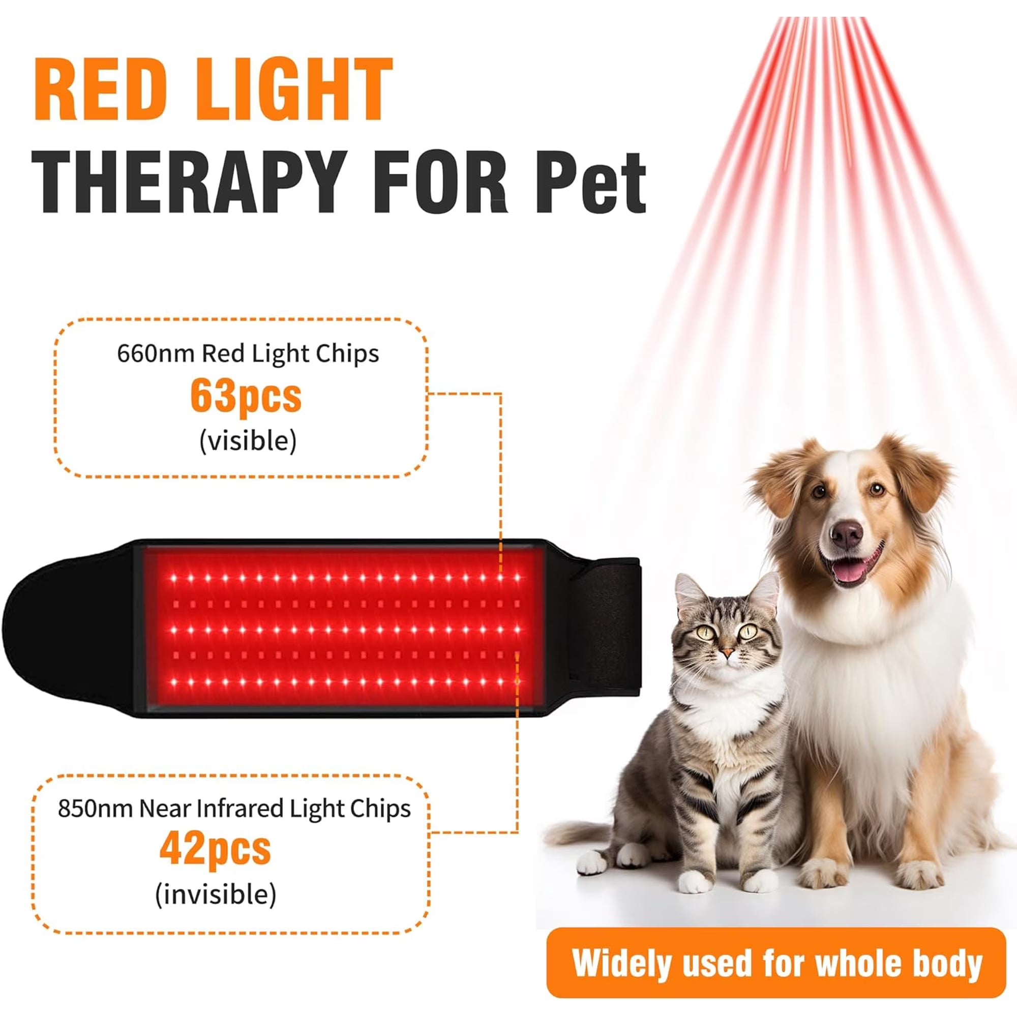 BioRay – Terapia Láser Fría Definitiva para Mascotas